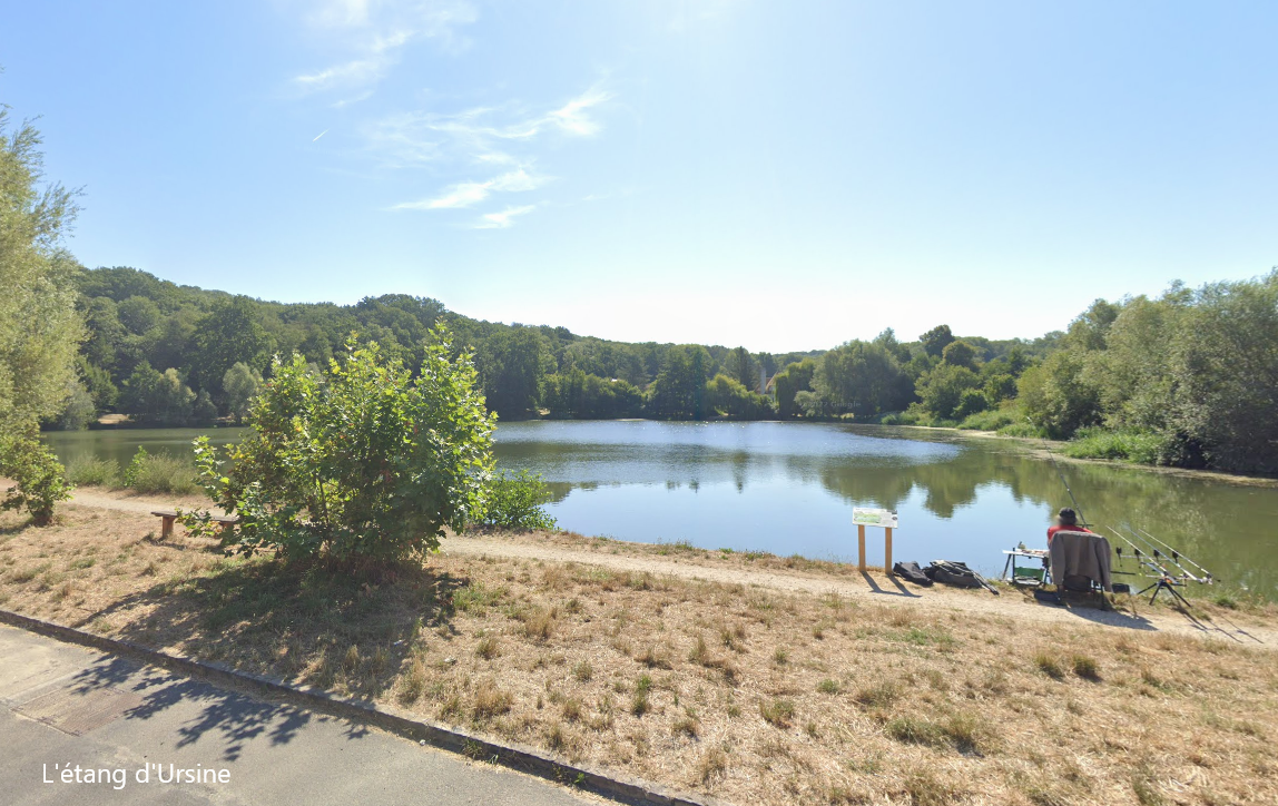 Etang d'Ursine