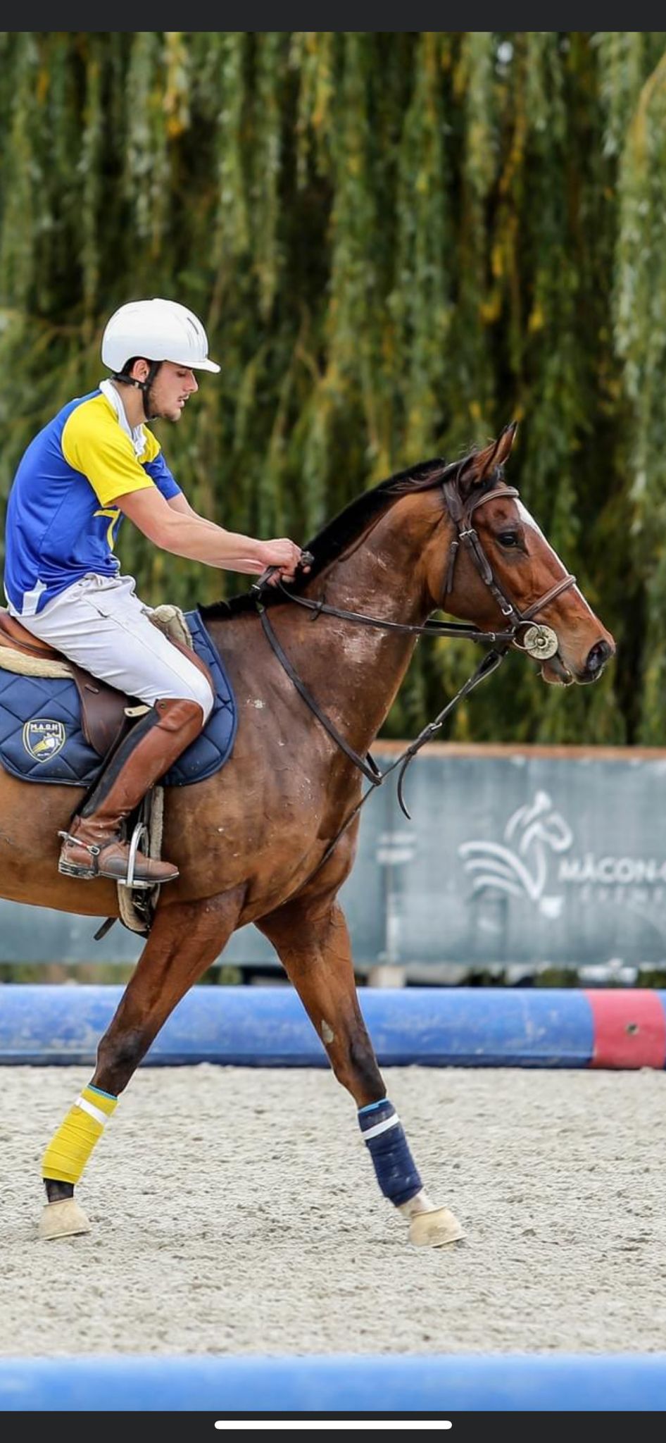 Cavalier à Chaville