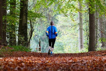 Jogging en forêt à Chaville