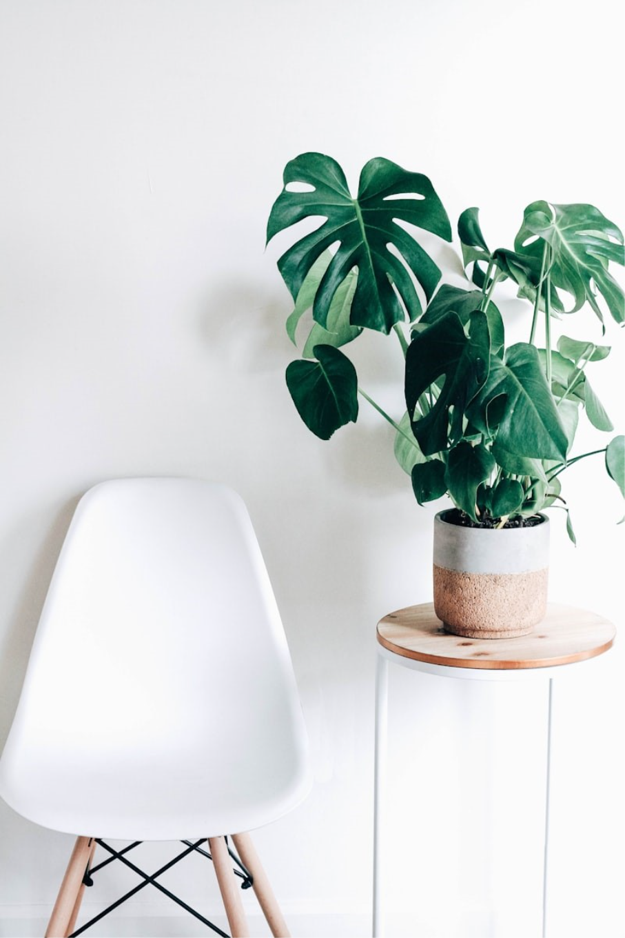 Biophilie décoration intérieure 2026 plantes naturel logement Dijon